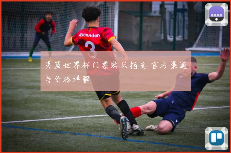 男篮世界杯门票购买指南 官方渠道与价格详解