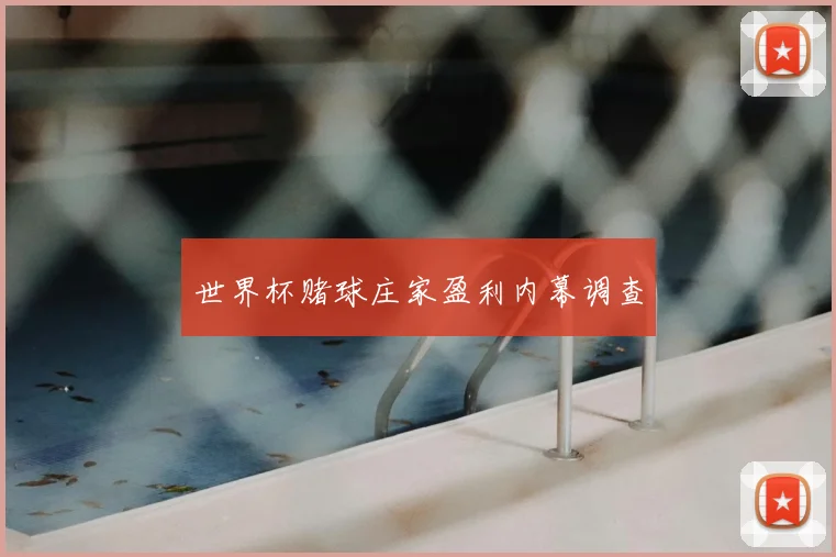 世界杯赌球庄家盈利内幕调查