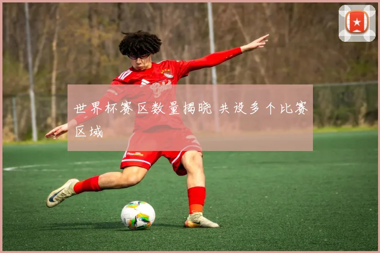 世界杯赛区数量揭晓 共设多个比赛区域