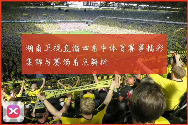 湖南卫视直播回看中体育赛事精彩集锦与赛场看点解析