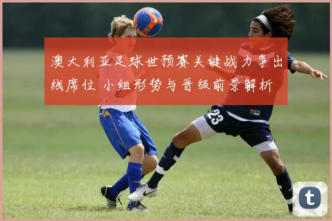 澳大利亚足球世预赛关键战力争出线席位 小组形势与晋级前景解析