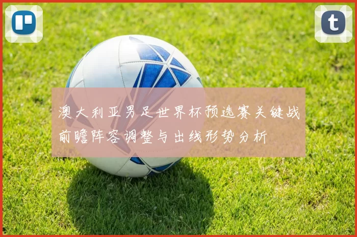 澳大利亚男足世界杯预选赛关键战前瞻阵容调整与出线形势分析
